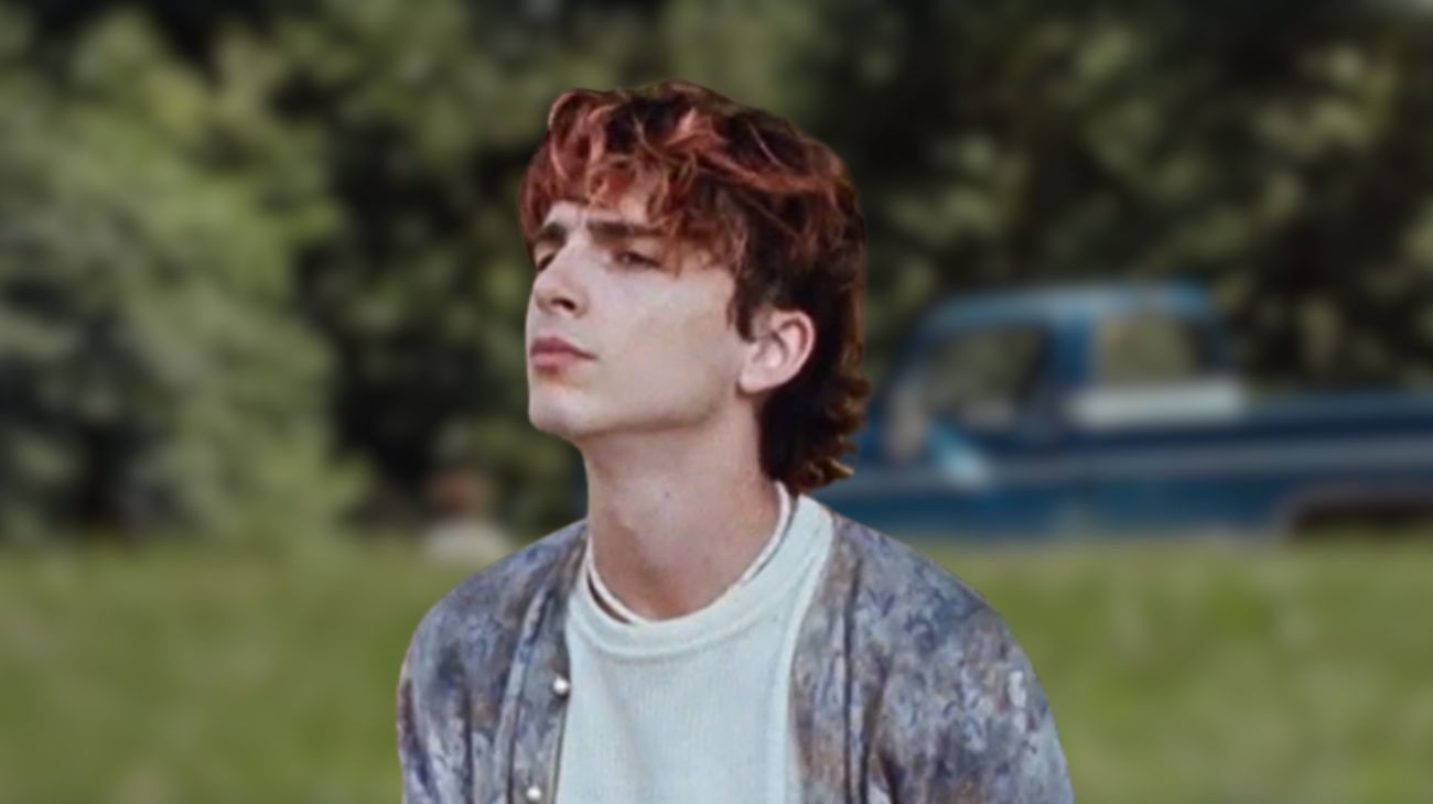 timothée chalamet