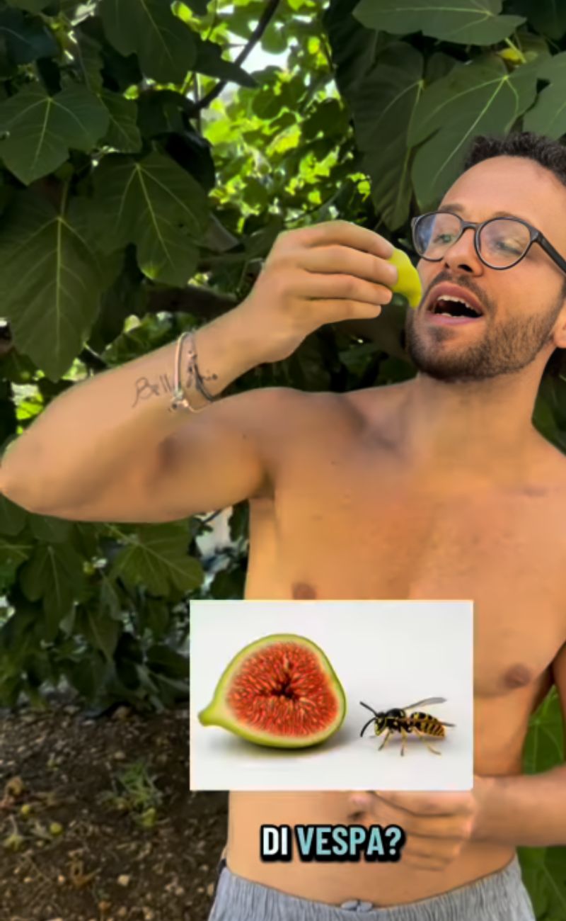 I fichi contengono parti di moscerini