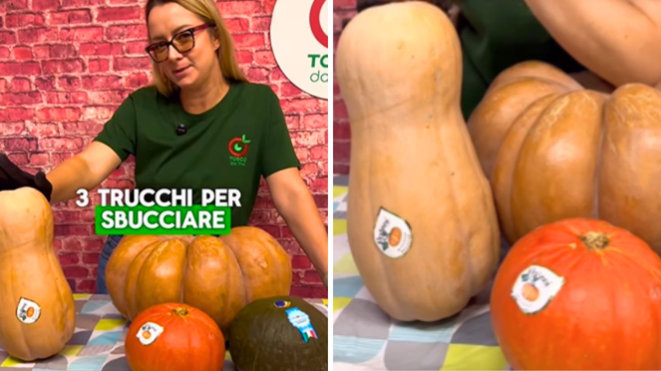 zucca