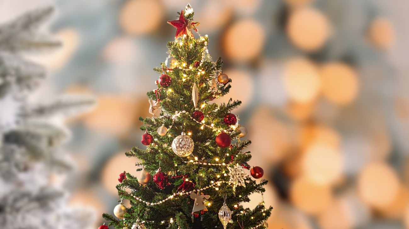 albero di natale da lavare