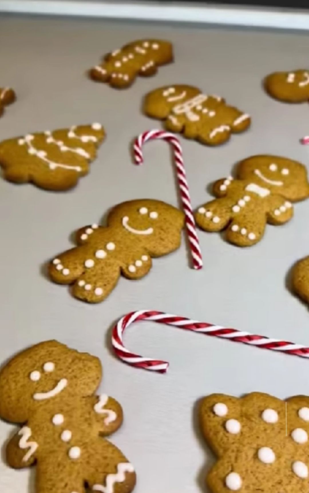 biscotti pan di zenzero natale