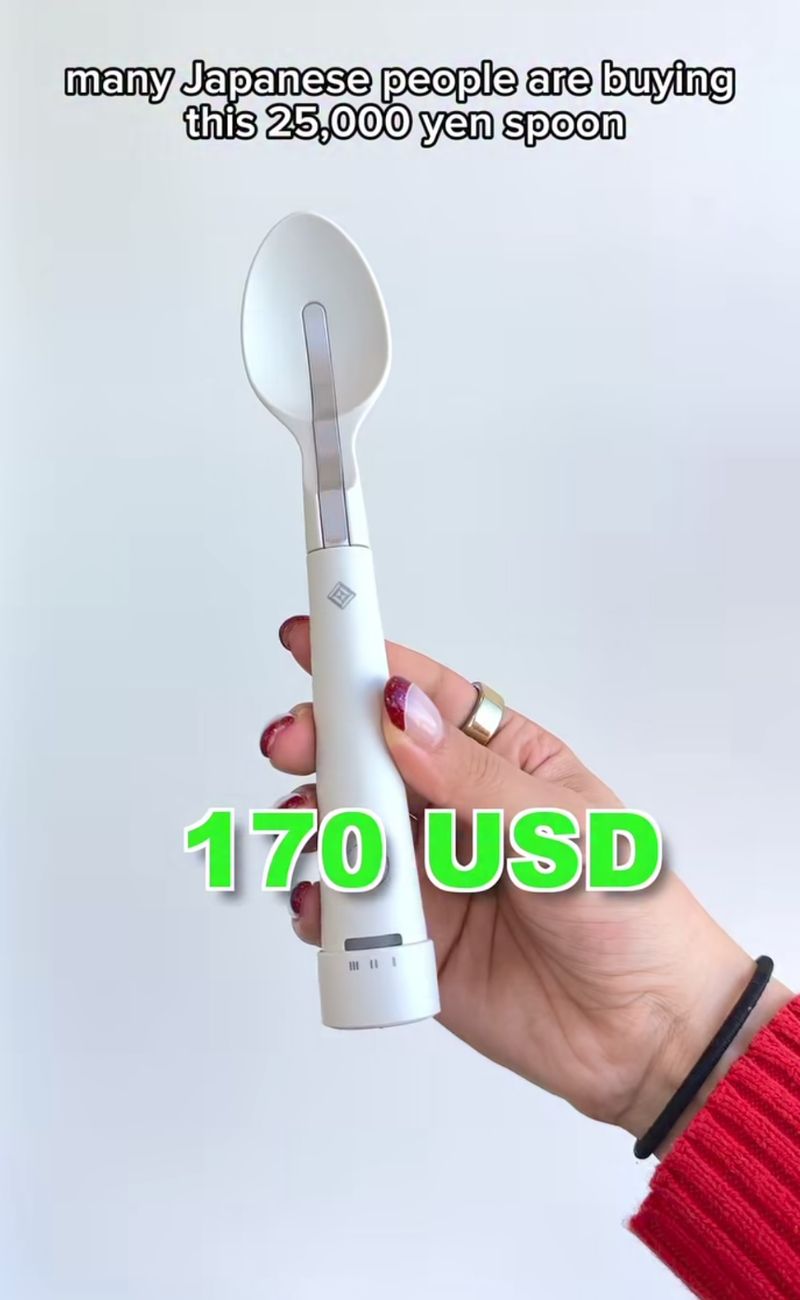 Il cucchiaio giapponese che insaporisce il cibo in maniera naturale, sfruttando le leggi della fisica.