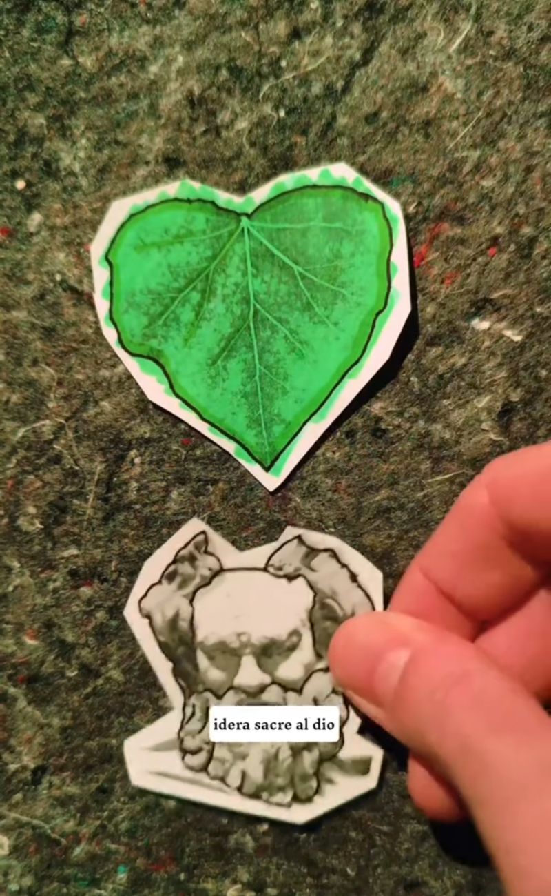 L'edera, nell'antica Grecia, rappresentava l'amore eterno e la sua foglia aveva una forma simile al cuore stilizzato che usiamo da svariati secoli