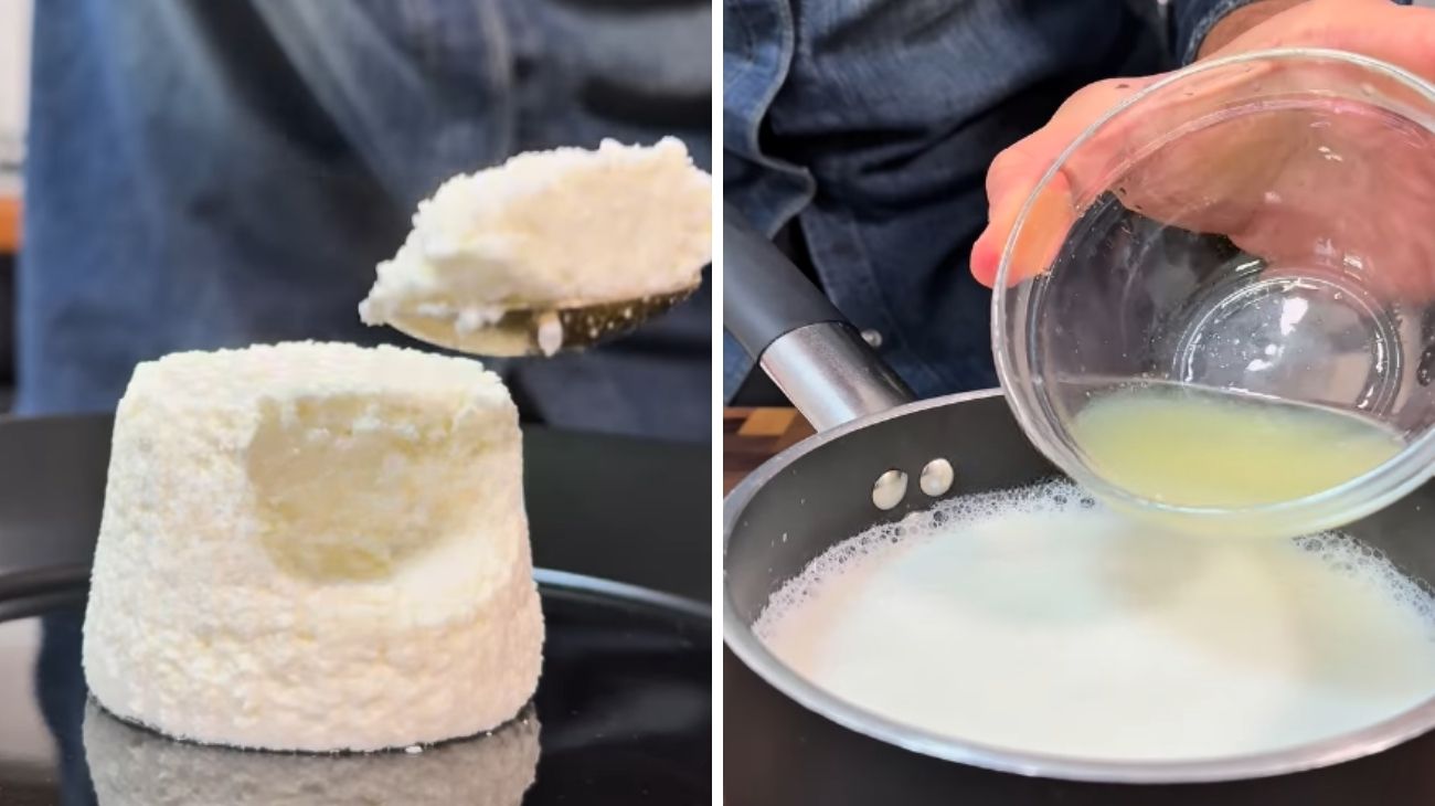 ricotta in casa ricetta