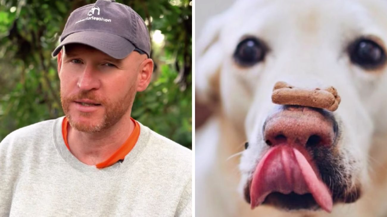 addestrare cane cibo