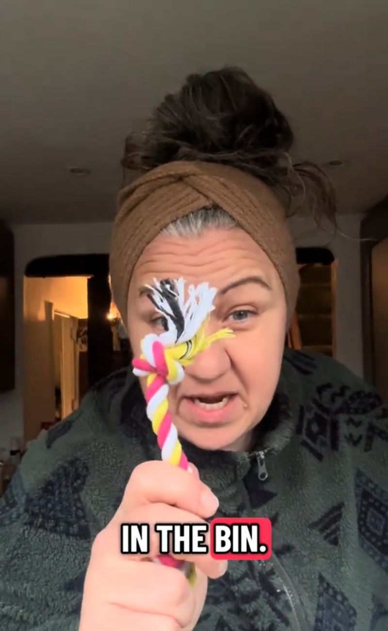 Questo è il peggior giocattolo per cani, secondo una donna che gestisce un negozio per animali - forumagricolturasociale.it