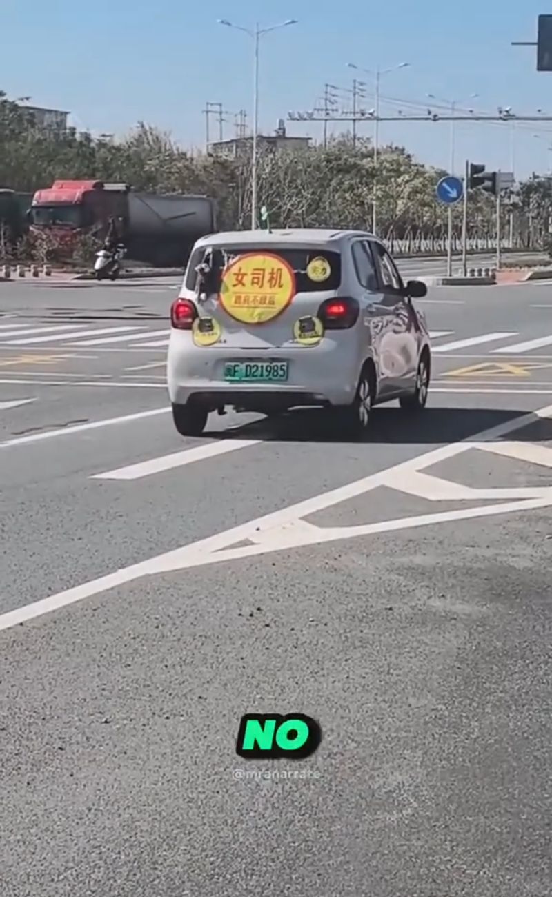 Un'auto in Cina che indica "guidatore inesperto" al volante.
