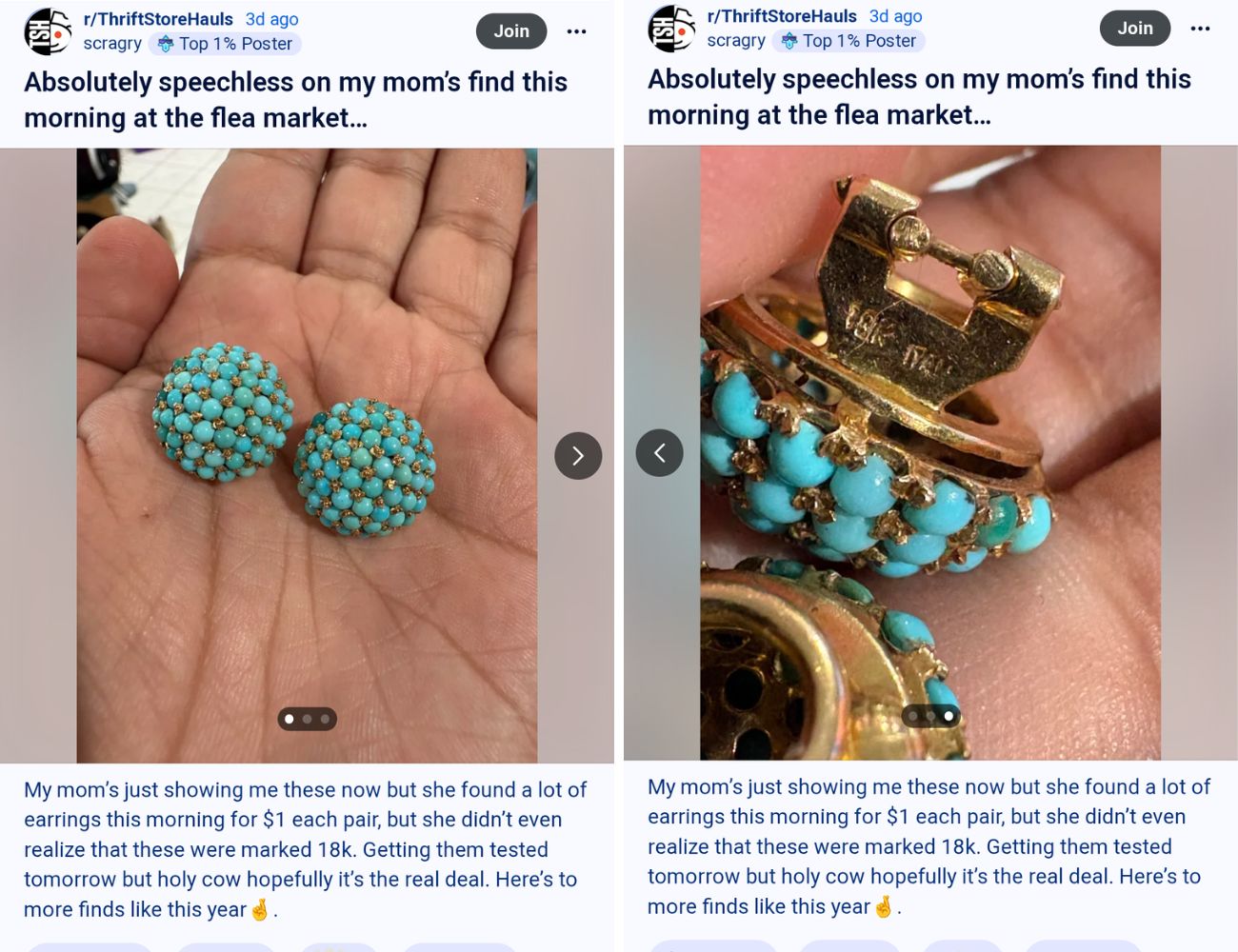 Il post di Reddit dove la giovane racconta dell'acquisto da parte di sua madre degli orecchini usati comprati per pochi spiccioli - forumagricolturasociale.it