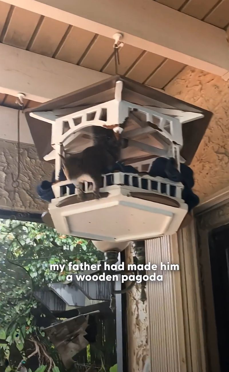 La nuova casa dello scoiattolo: una pagoda vicinissima all'abitazione di Linda e Steve