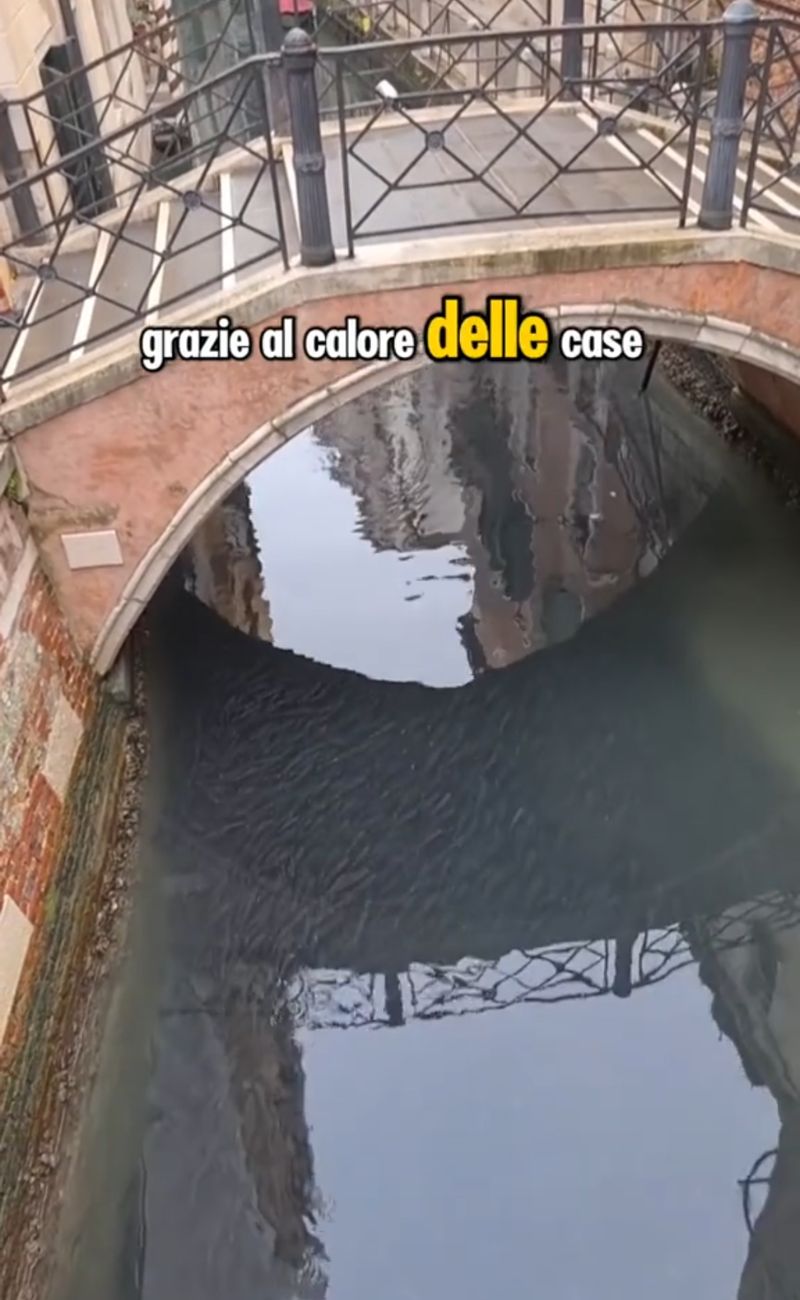 A Venezia è aumentata la concentrazione di cefali nei canali del centro città, per effetto del grande freddo di inizio gennaio.