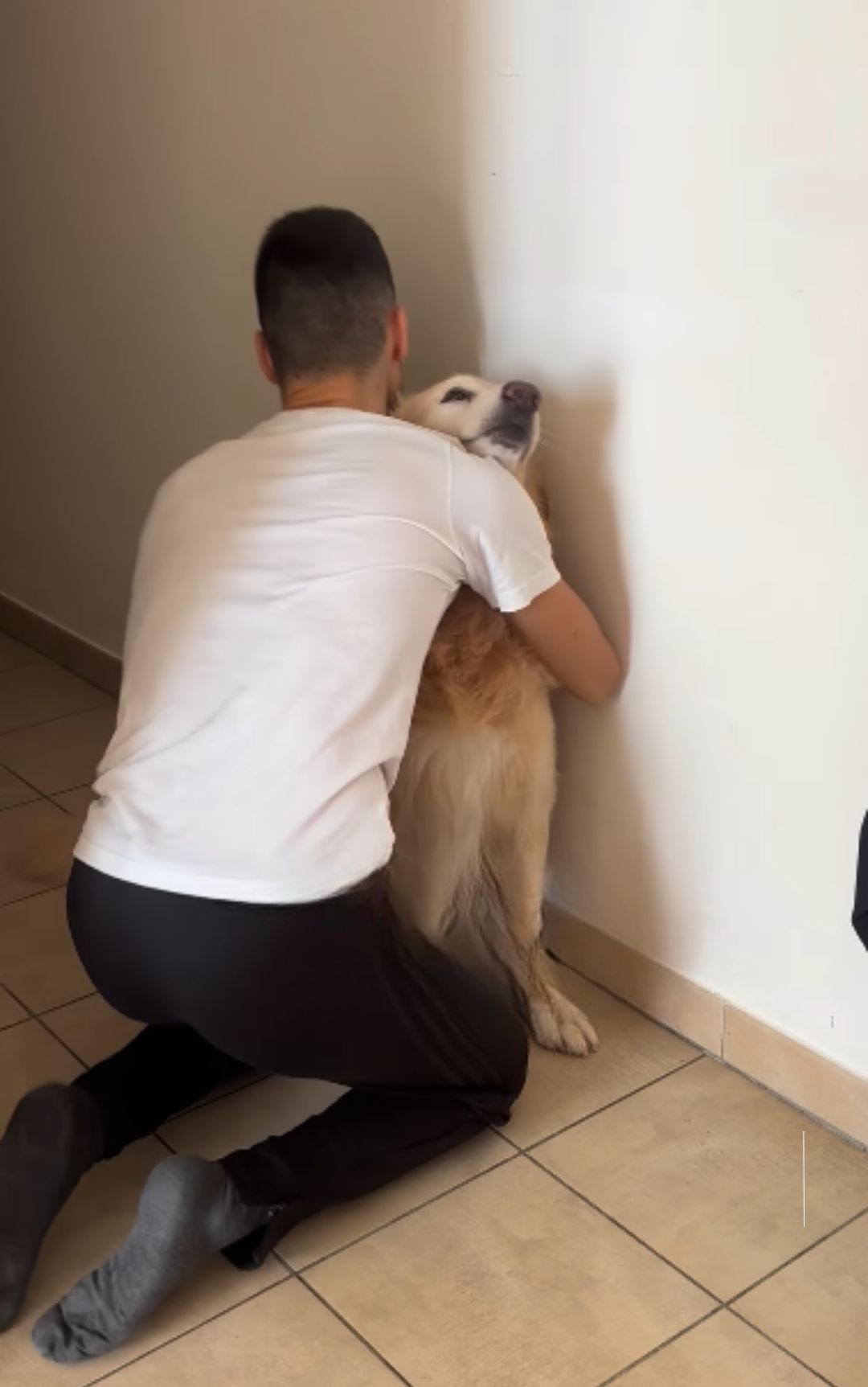 perché non abbracciare cane