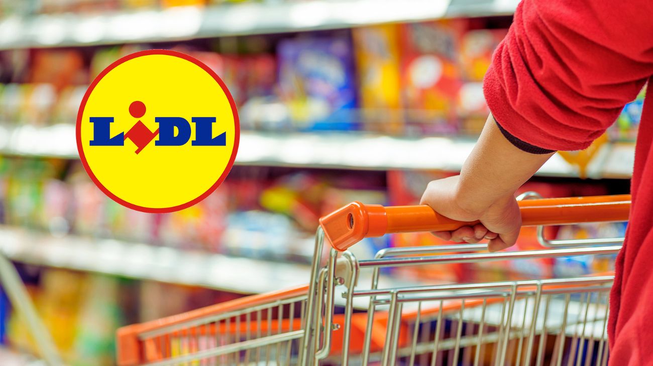 lidl alimenti