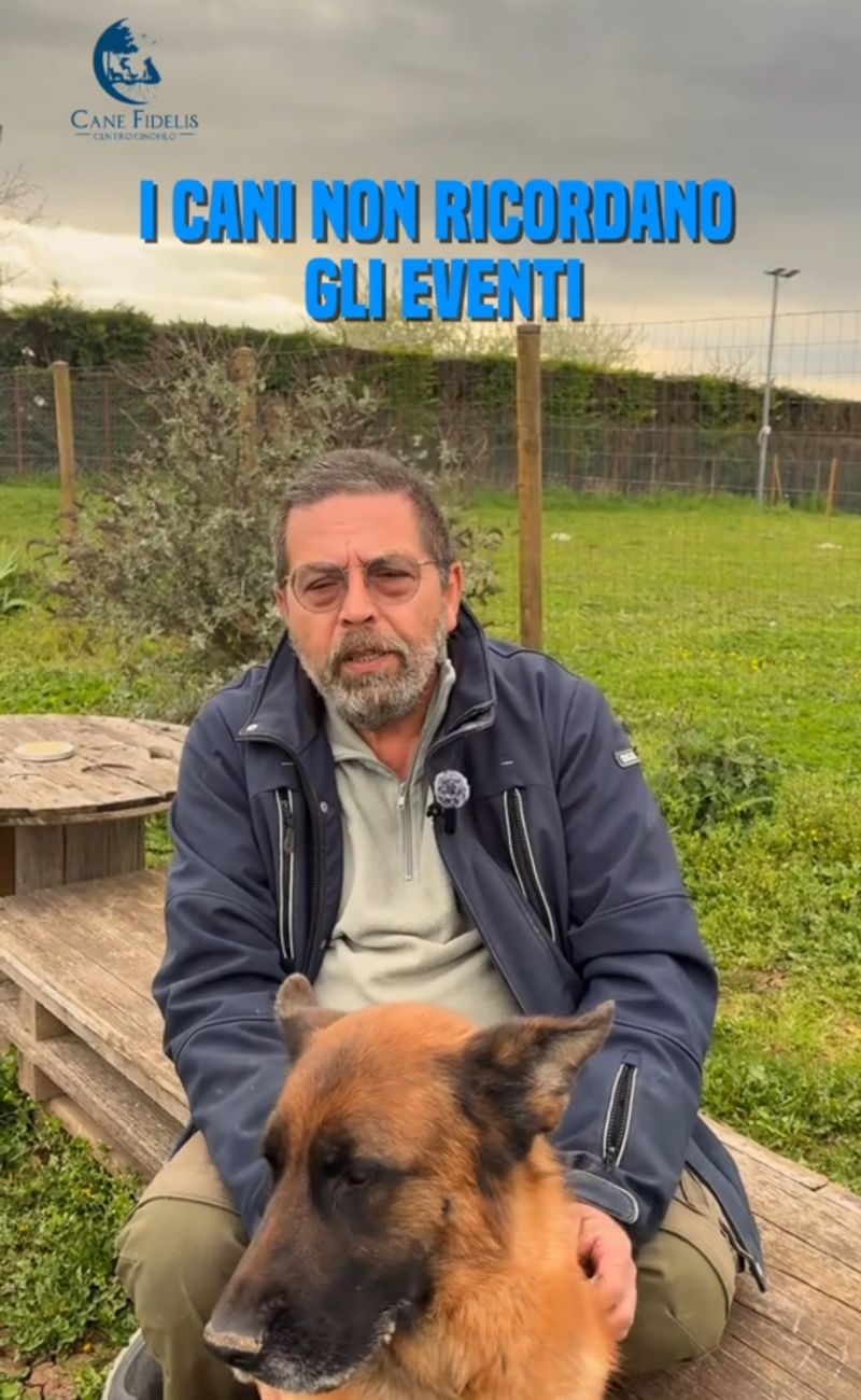 I cani non ricordano gli eventi ma le sensazioni provate