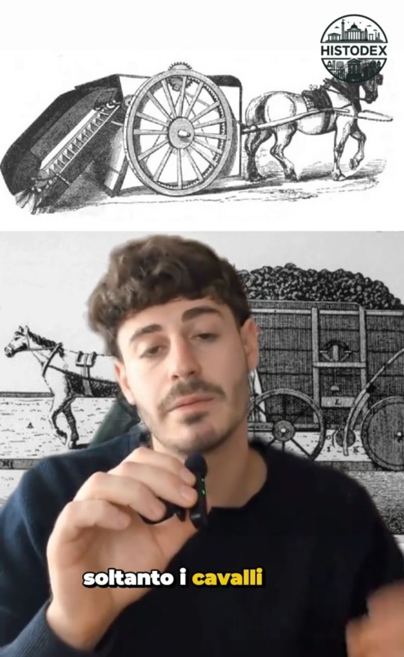 I cavalli c'entrano eccome: nel 1700 erano loro a far funzionare le macchine