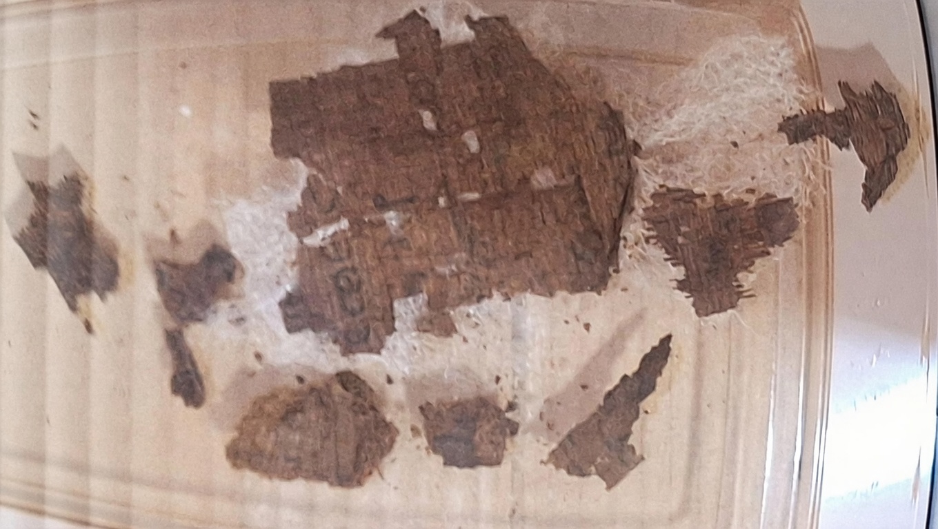 Iliade Papiro Mummia