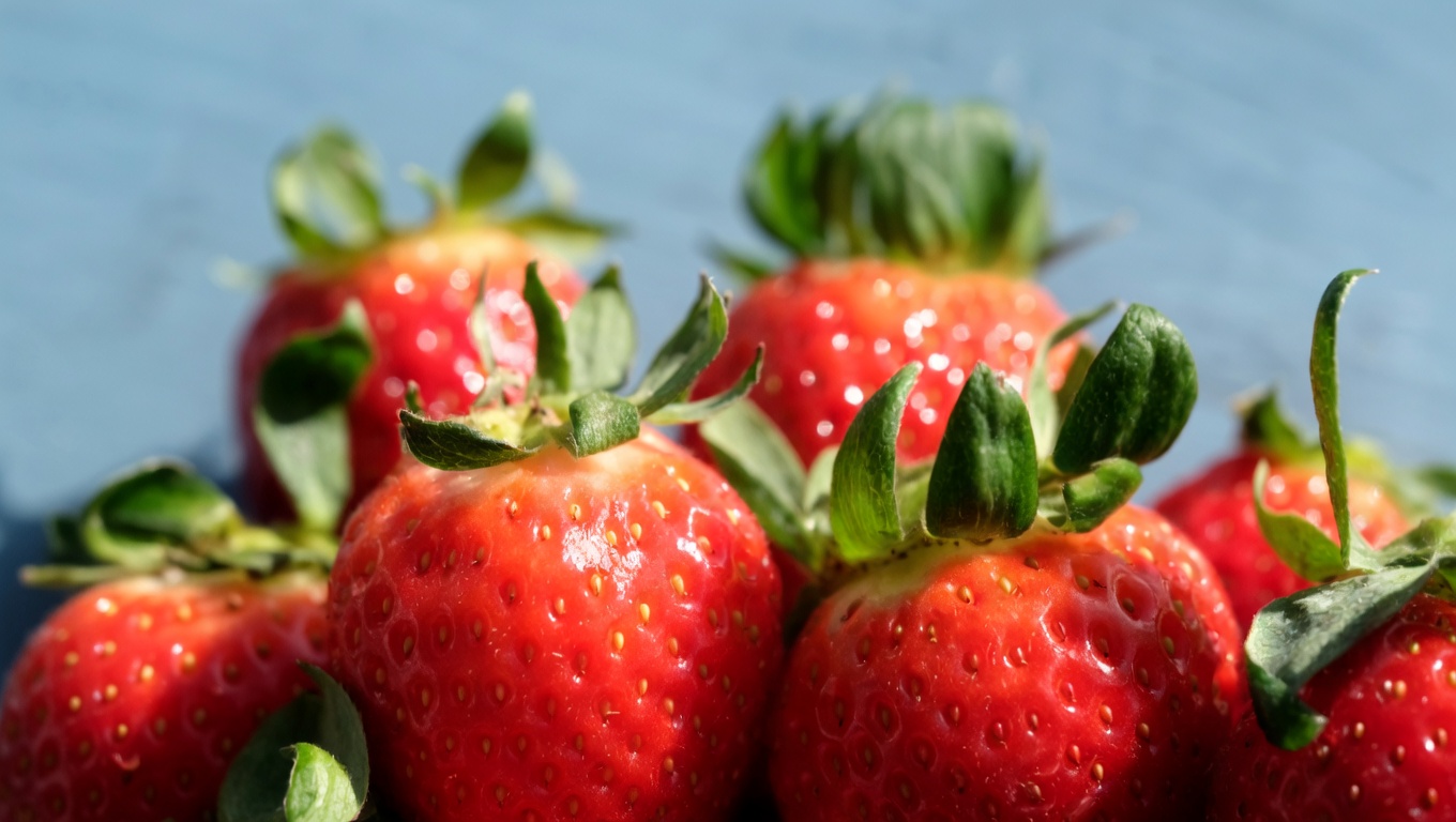 Longevita Alimentazione