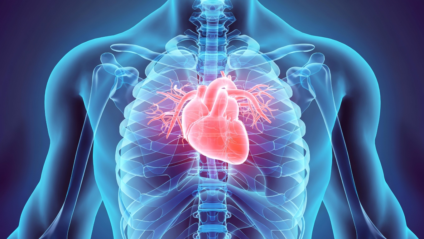 Melagrana Malattie Cardiache