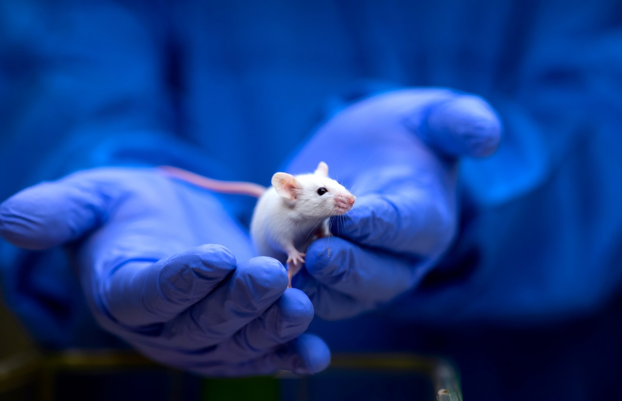 Nanoparticelle Cancro Immunita