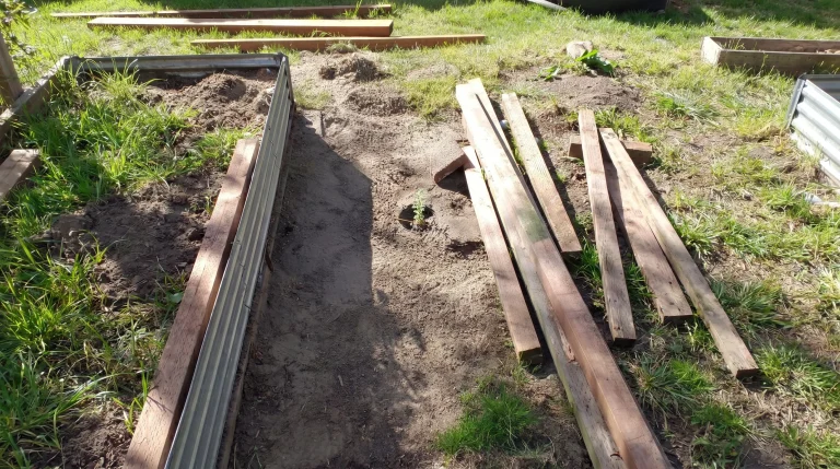 Come contenere la menta in giardino: guida pratica al controllo dei rizomi