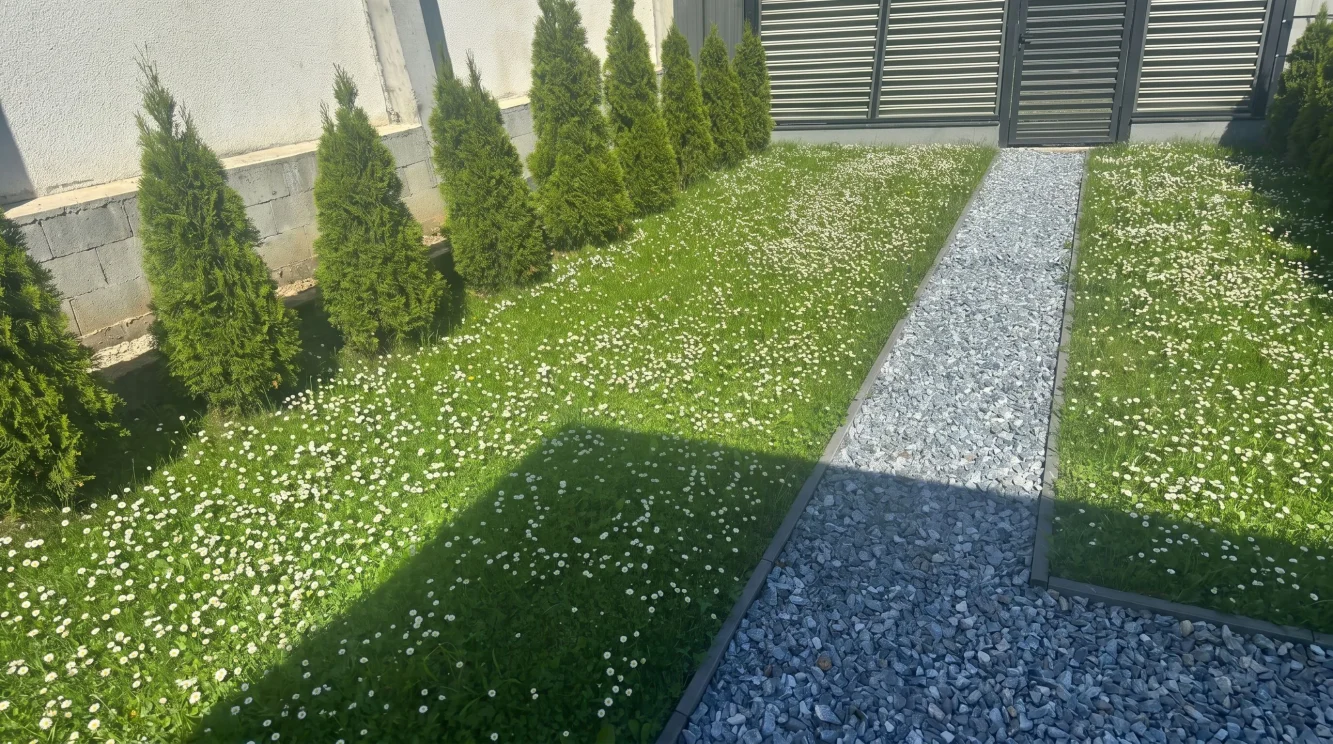 Prato fiorito con pratoline: guida per trasformare il giardino in un'oasi ecologica