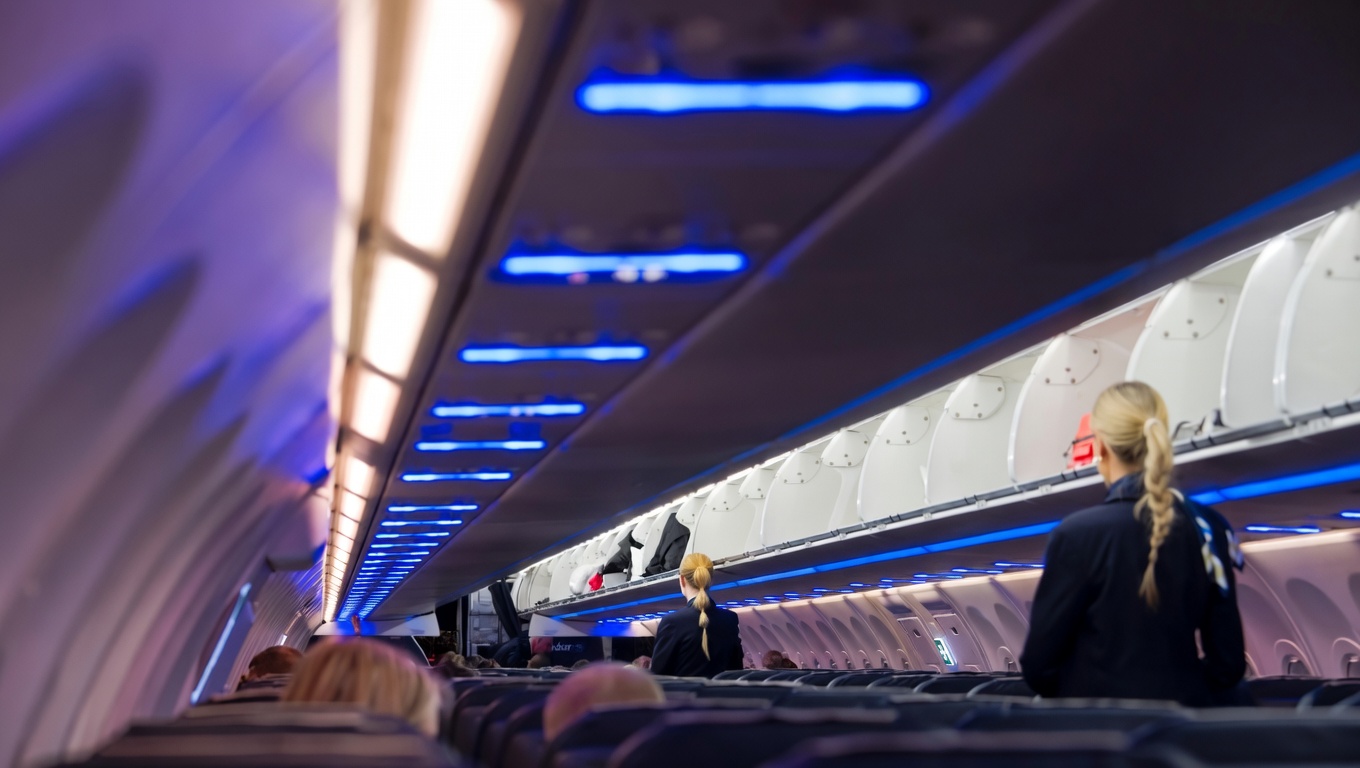 Flight Attendant