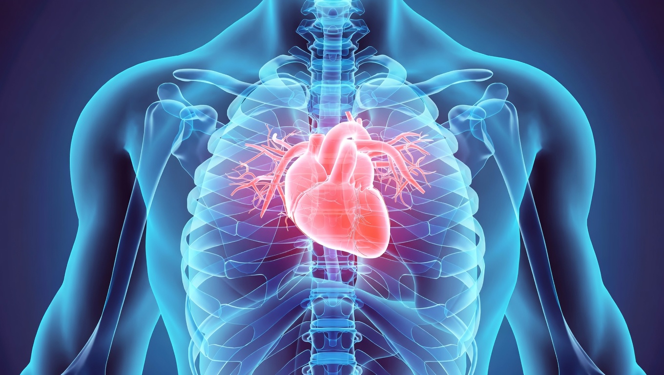 Rigenerazione Cuore Infarto
