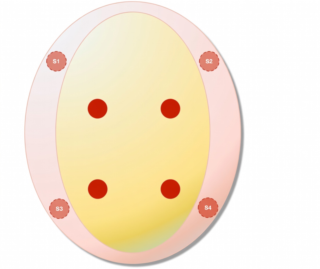 Testicolo Trapianto Fertilita