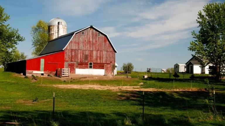 Azienda agricola i passaggi da mettere in pratica