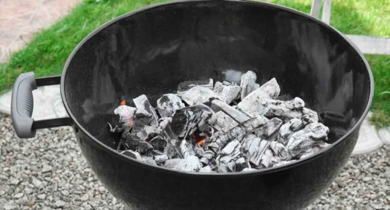 Barbecue tutti i dettagli
