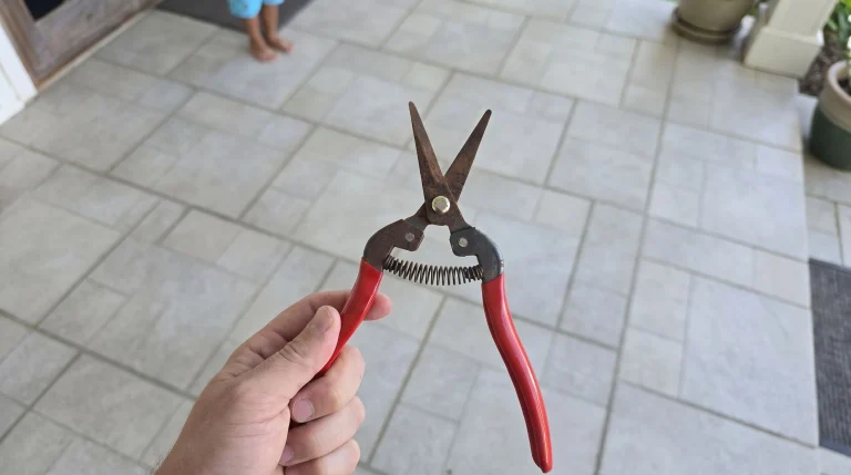 Come pulire e affilare le forbici da giardinaggio: guida completa antiruggine