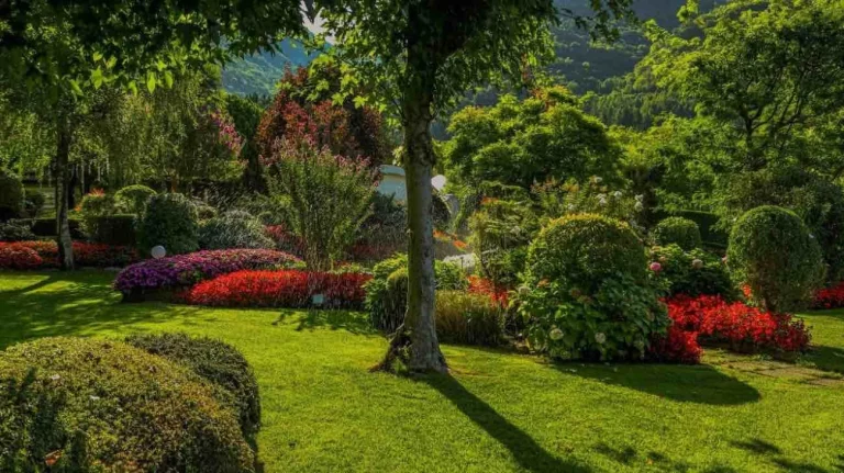 Giardino ecco i consigli principali