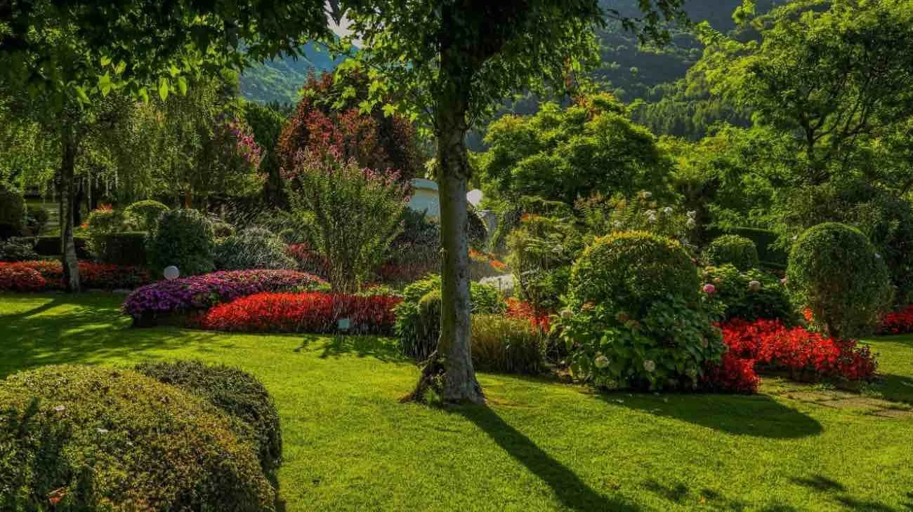 Giardino come difenderlo dal caldo