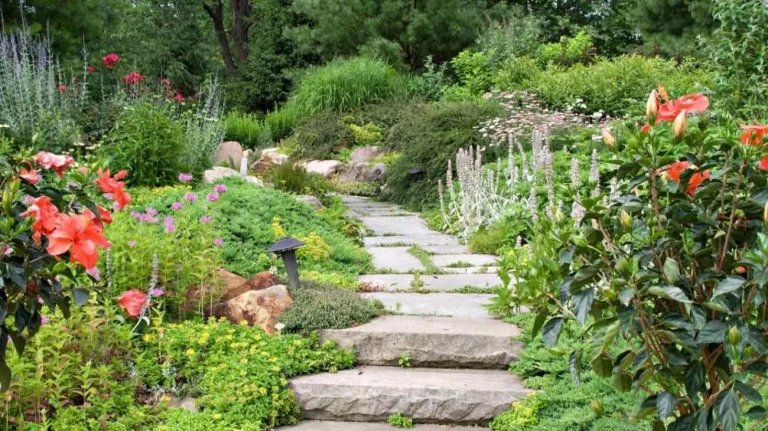 Giardino consigli utili