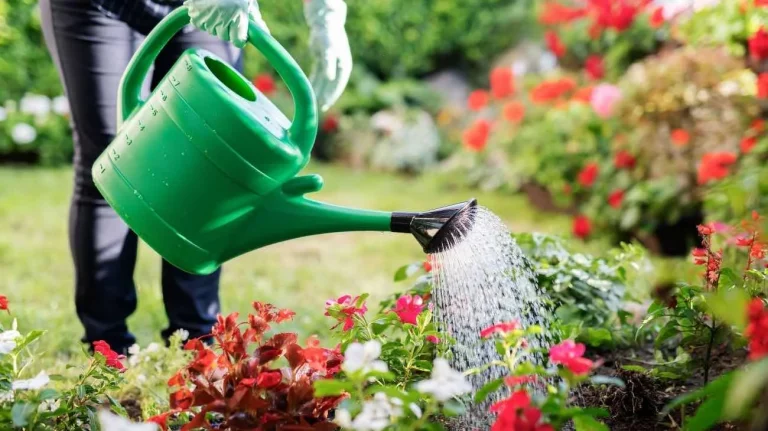 Giardino le tecniche migliori