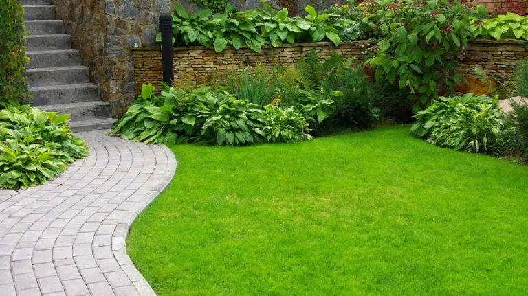 Giardino ecco come comportarsi