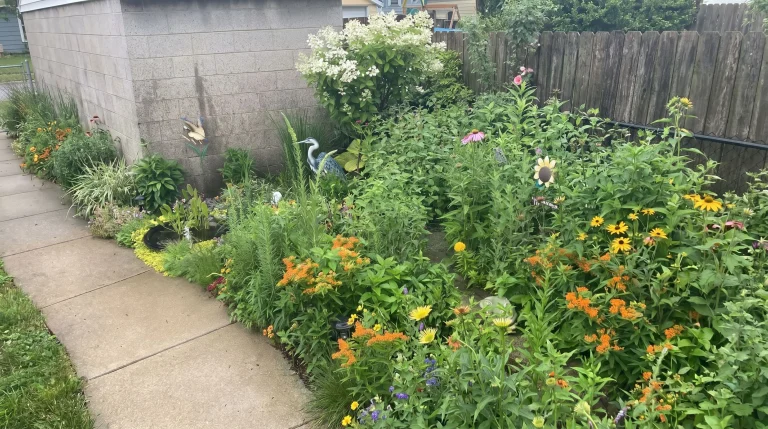 Giardino biodiverso con piante autoctone: guida alla progettazione urbana per impollinatori