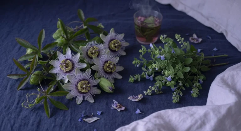 Passiflora e Scutellaria contro ansia e insonnia: quale forma scegliere per dormire meglio