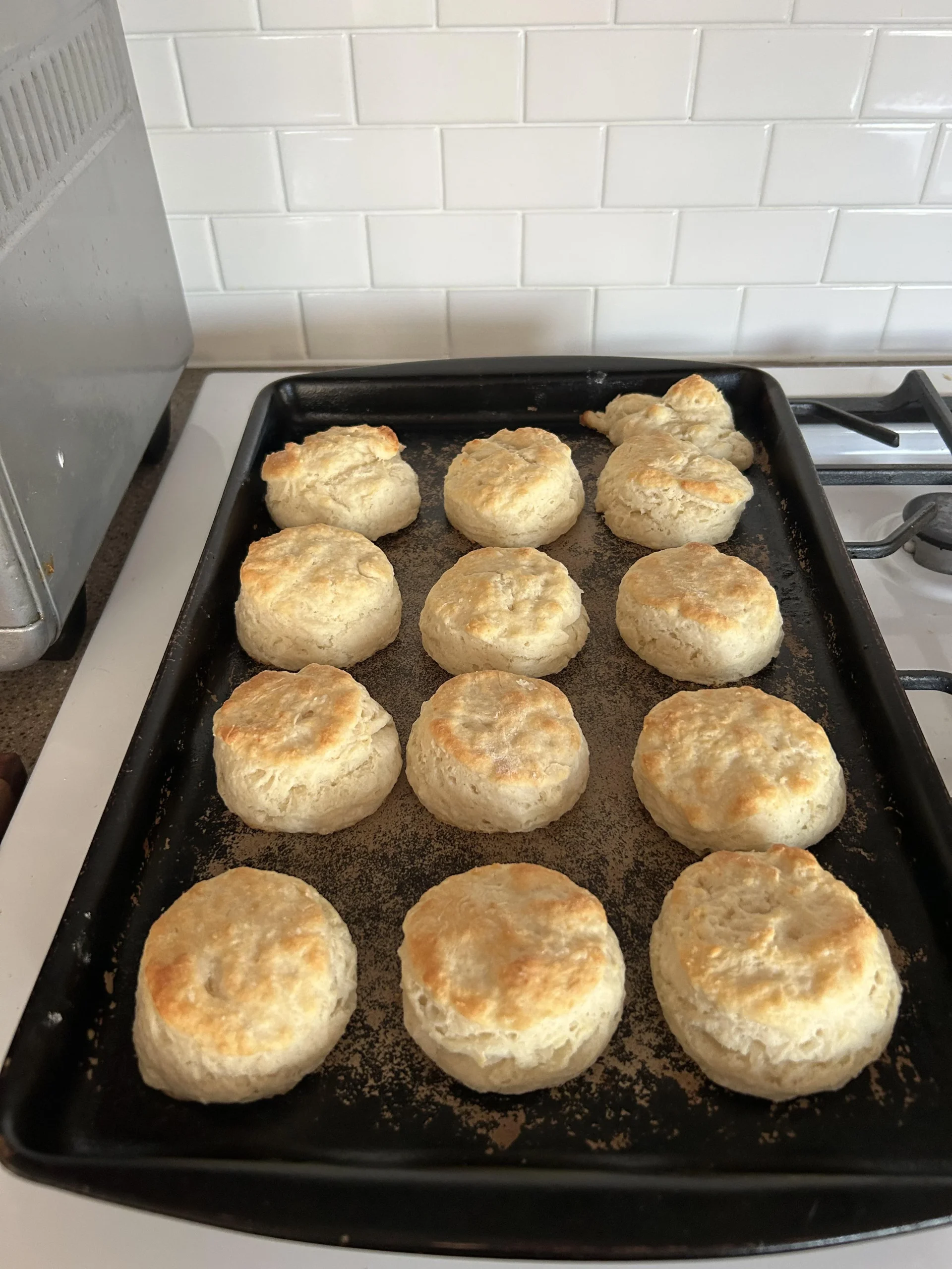 Biscotti al latticello fatti in casa: ricetta della nonna e scienza della sofficità
