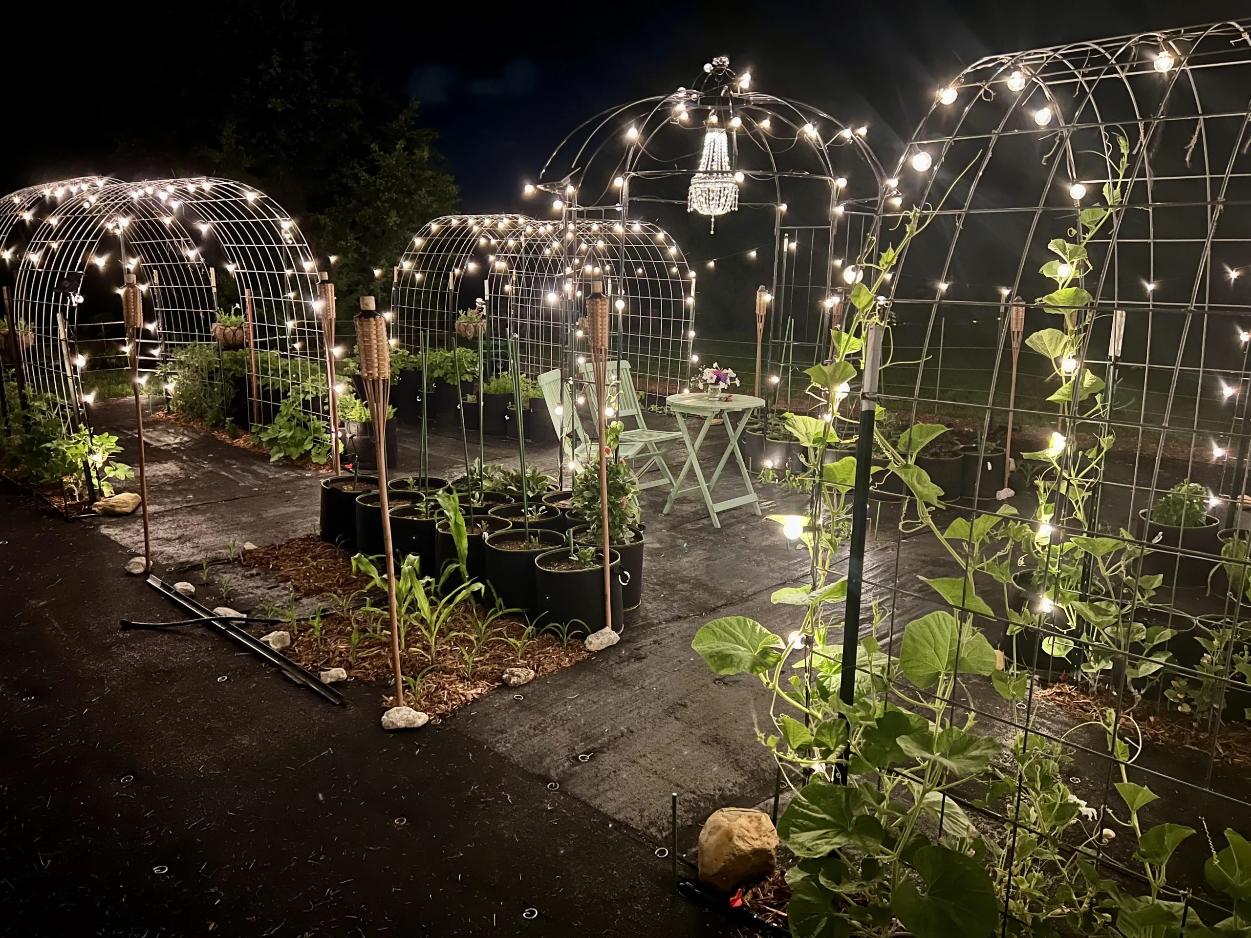Giardino accessibile in carrozzina: guida alla progettazione con coltivazione verticale e percorsi senza barriere