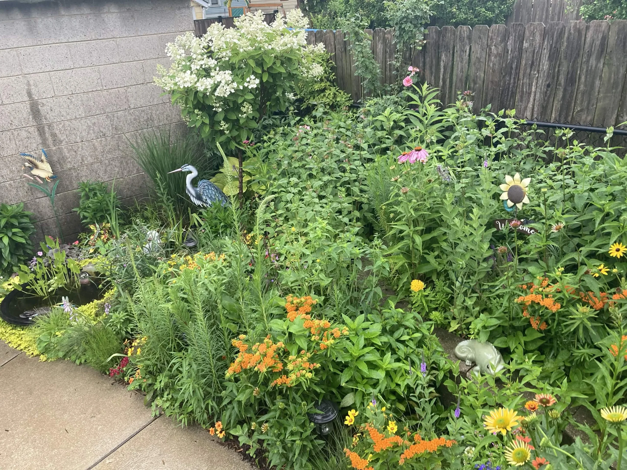Giardino biodiverso con piante autoctone: guida alla progettazione urbana per impollinatori