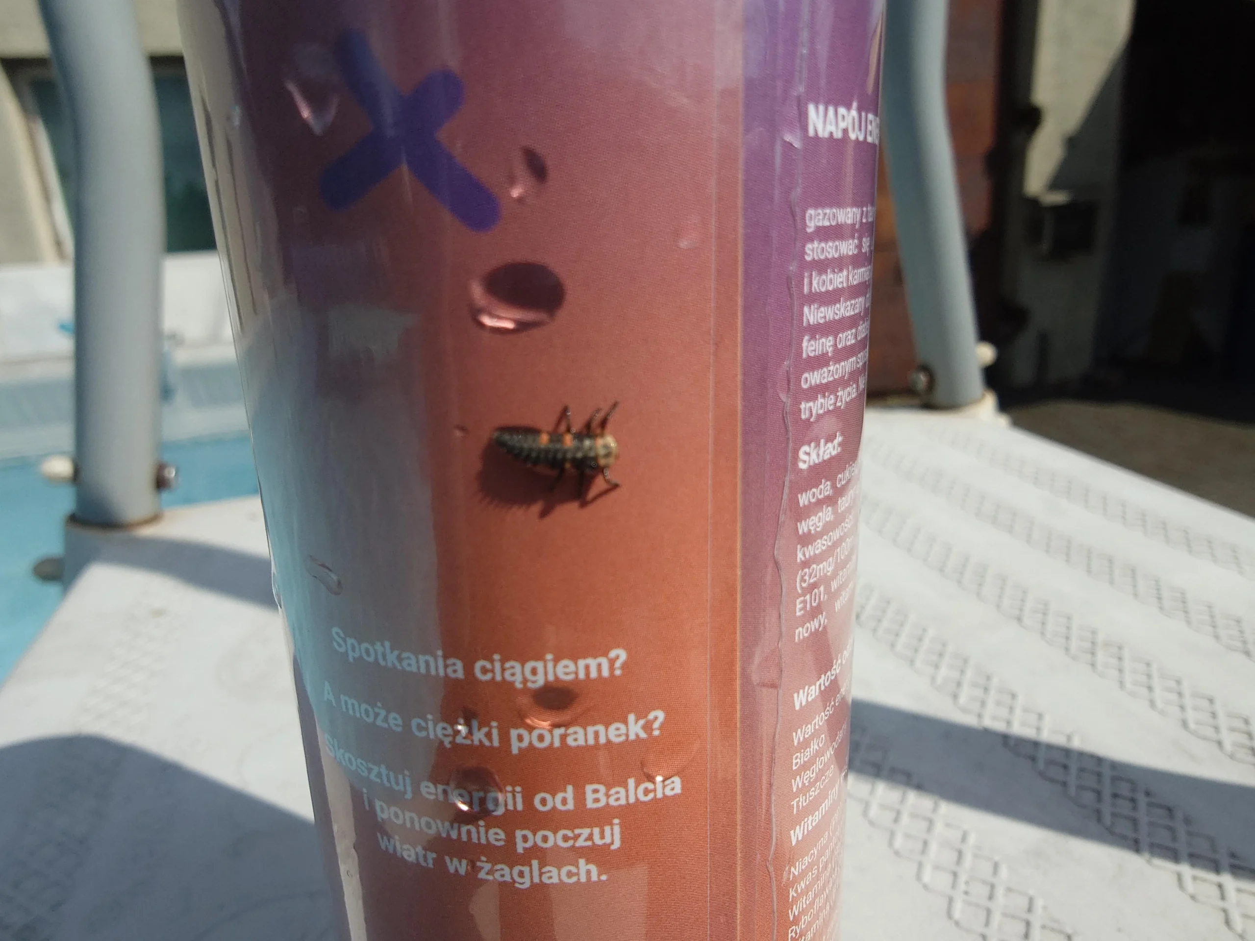 Insetti nella piscina: perché arrivano a centinaia e come allontanarli senza pesticidi