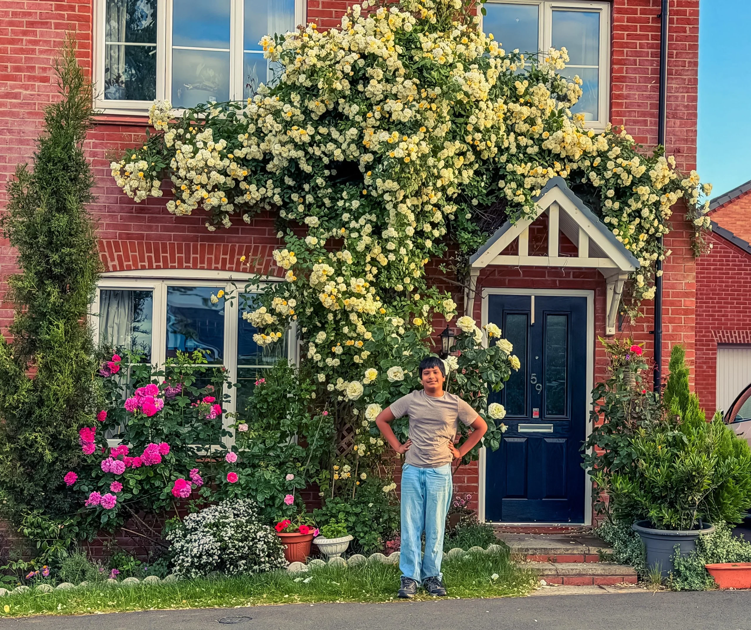 Rose rampicanti: fioritura abbondante e effetto cascata in stile cottage inglese