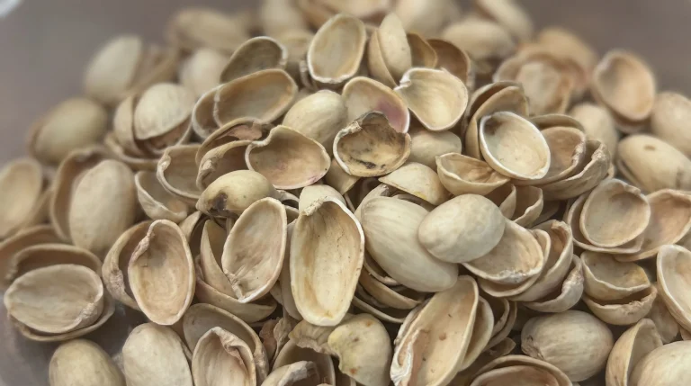 Gusci di pistacchio in giardino: guida scientifica al riuso come pacciamatura, drenaggio e ammendante