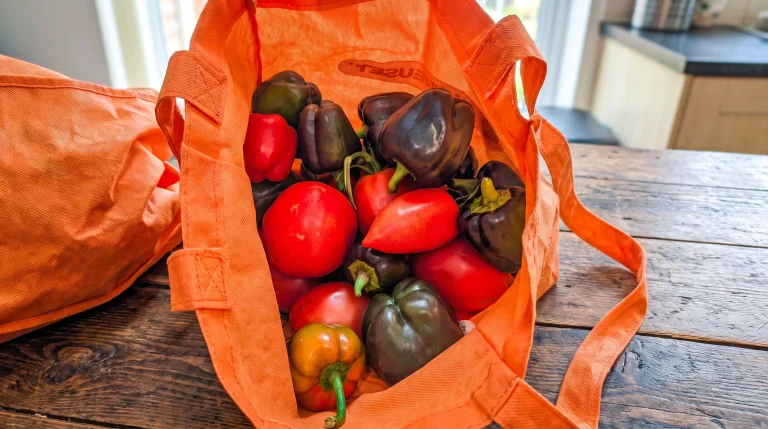 Orto a bassa manutenzione: pomodori e peperoni abbondanti con poche cure (la scienza spiega perché funziona)