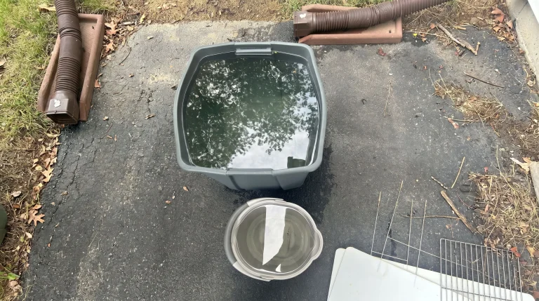 Raccogliere acqua piovana in giardino: guida pratica e scientifica al recupero domestico
