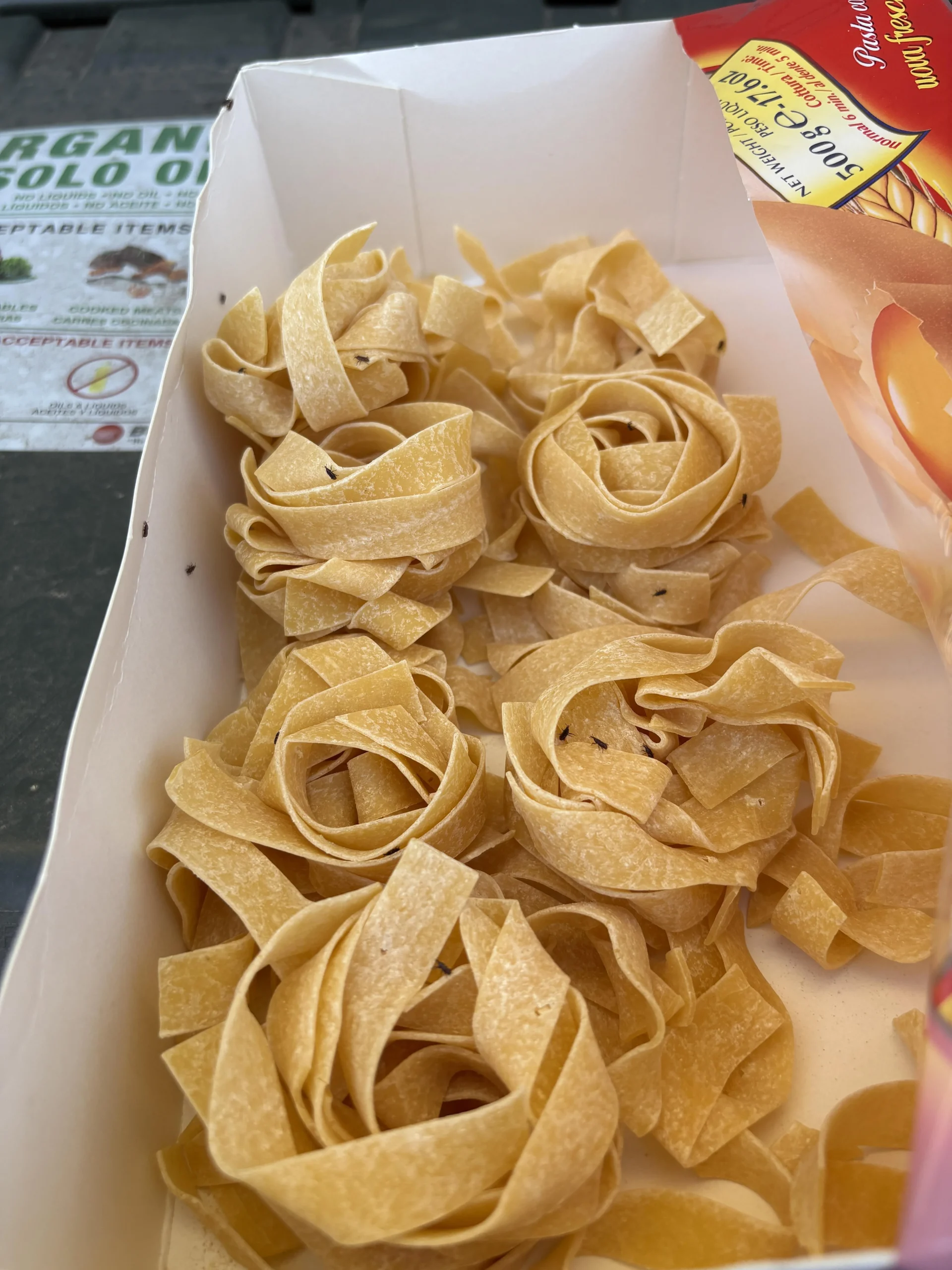 Insetti nella pasta e nella farina: chi sono, come entrano e come eliminarli in cucina