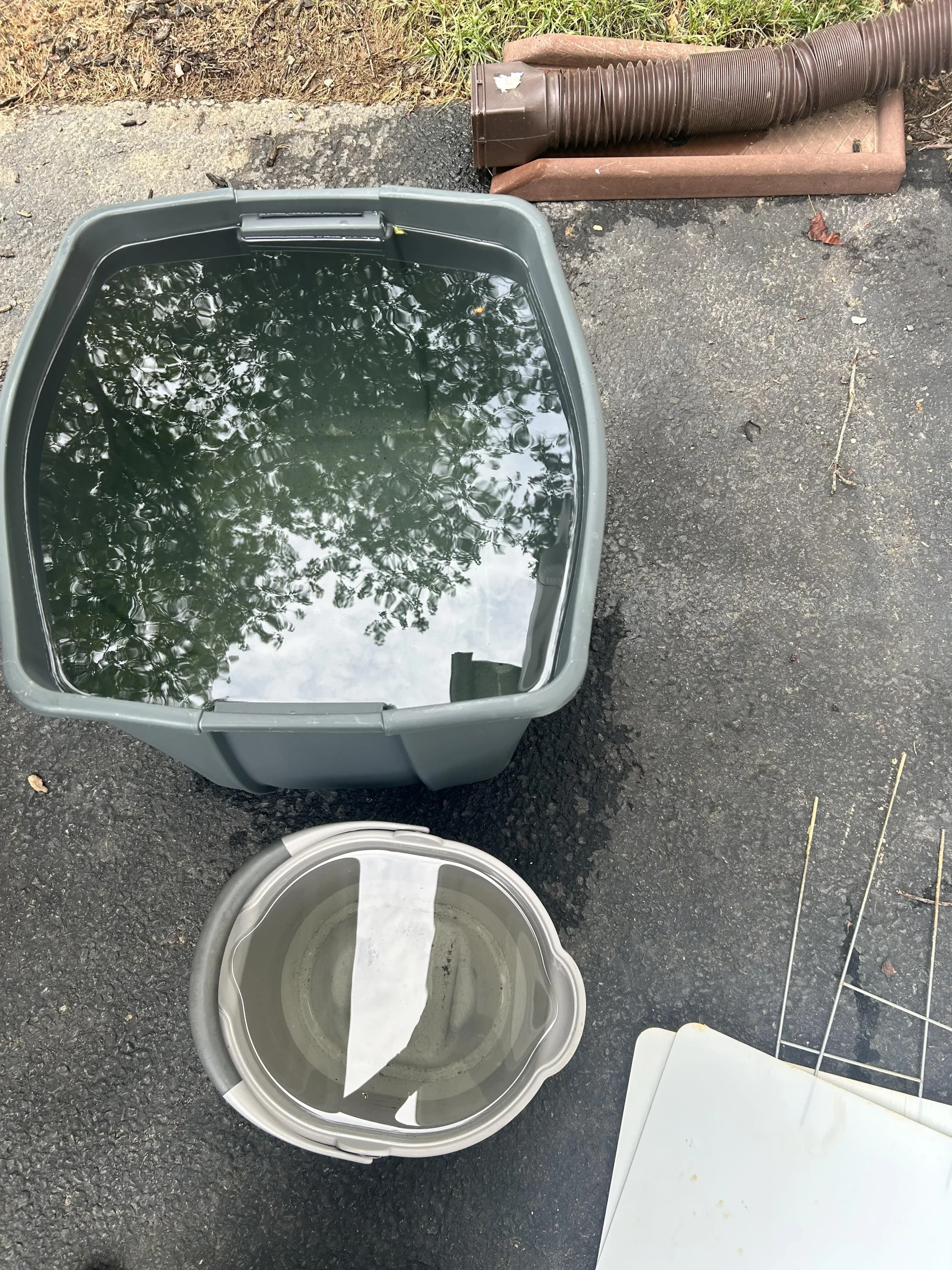Raccogliere acqua piovana in giardino: guida pratica e scientifica al recupero domestico