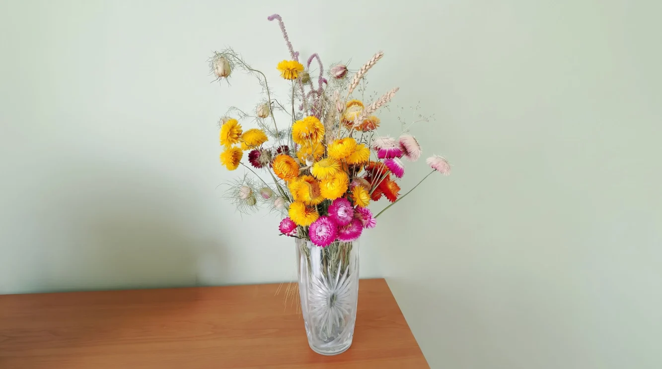 Fiori da essiccare: il colore si decide nei dieci minuti del taglio, non dopo