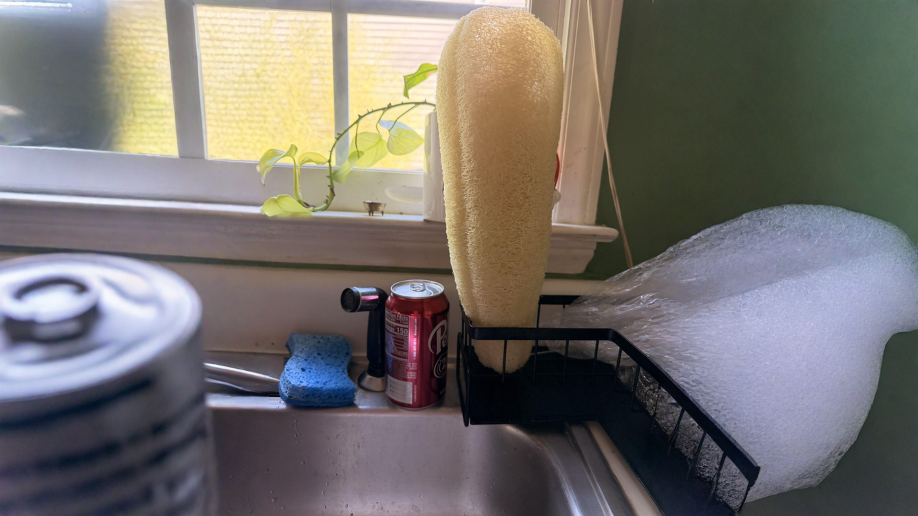 Luffa, la spugna vegetale che si coltiva nell'orto: verdura o spugna secondo il giorno in cui la stacchi