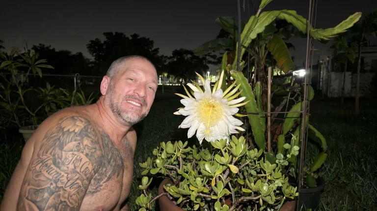 Pitaya, il fiore che si apre una notte sola: guida all'impollinazione manuale in Italia